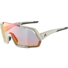 Alpina Sports Alpina Rocket QV cool-grey matt (4003692314499) napszemüveg