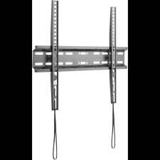 AlzaErgo F210B Plate (APW-EGTMF210B) tv állvány és fali konzol