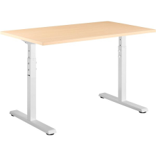 AlzaErgo Fixed Table FT1 fehér + TTE-12 120x80 cm íróasztal, laminált, nyír íróasztal