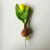 Amarillis Hagymás tulipán - sárga
