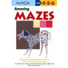  Amazing Mazes – Shinobu Akaishi idegen nyelvű könyv