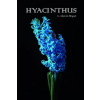 Amazon Digital Services LLC - Kdp Hyacinthus | Monika Alarcón Miguel