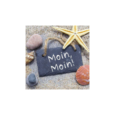  AMB.13309980 Moin Moin papírszalvéta 33x33cm, 20db-os asztalterítő és szalvéta