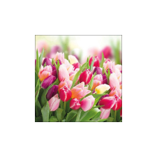  AMB.13312730 Glorious Tulips papírszalvéta 33x33cm,20db-os asztalterítő és szalvéta