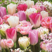 AMB.13317055 Pink Tulips papírszalvéta 33x33cm, 20db-os asztalterítő és szalvéta