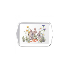 AMB.23718250 Carrot treat műanyag kistálca 13x21cm sütés és főzés