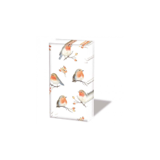 AMB.32216805 Robin Family papírzsebkendő 10db-os higiéniai papíráru