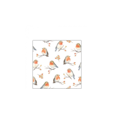 AMB.32516805 Robin Family papírszalvéta 25x25cm, 20db-os papírárú, csomagoló és tárolóeszköz