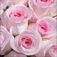 AMBIENTE Abby papírszalvéta 33x33cm,20db-os konyhai eszköz