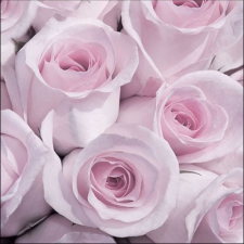 AMBIENTE Abby Vintage papírszalvéta 33x33cm,20db-os konyhai eszköz