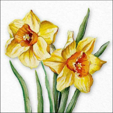 Ambiente Flowering daffodils papírszalvéta 33x33cm, 20db-os papírárú, csomagoló és tárolóeszköz