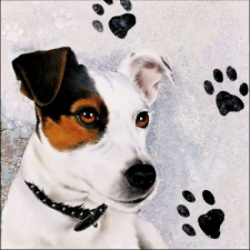 AMBIENTE Jack Russel papírszalvéta 33x33cm,20db-os konyhai eszköz