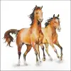 AMBIENTE Wild horses papírszalvéta 33x33cm, 20db-os
