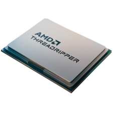 AMD Ryzen Threadripper 7960X 4.2GHz TR5 processzor