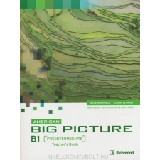 AMERICAN BIG PICTURE PRE-INT TB+CD nyelvkönyv, szótár