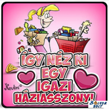 AN-PE 32 Kft Vicces hűtőmágnes, Így néz ki egy igazi háziasszony hűtőmágnes