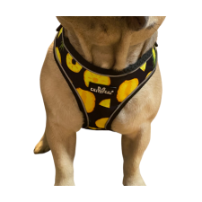  Ananászos komfort kutyahám, M-es nyakörv, póráz, hám kutyáknak