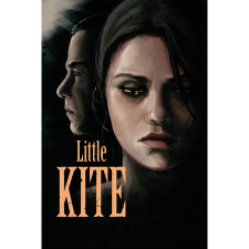 Anate Studio Little Kite (PC - Steam elektronikus játék licensz) videójáték