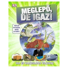 Andrea Mills - MEGLEPÕ, DE IGAZ! ajándékkönyv