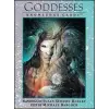 Andrews McMeel Publishing Goddesses Susan Sedden Boulet | Michael Barcock