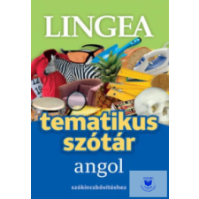  Angol tematikus szótár idegen nyelvű könyv