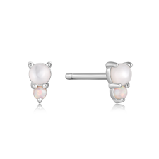 ANIA HAIE Ear Studs Rising Star E034-02H, fülbevaló