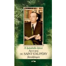 Antoine de Saint-Exupéry SAINT-EXUPÉRY FÜVESKÖNYVE - A KATEDRÁLIS KÖVEI ajándékkönyv