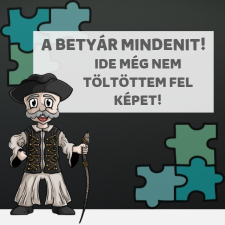 Anya és kicsi kakijai - Személyre Szabható - Női Póló női póló