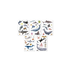 APLI Kids Stickers Matrica készlet - Tengeri állatok (50 darabos) (19428) gyermek- és ifjúsági könyv