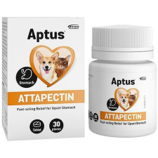 Aptus Aptus attapecint tabletta 30 db vitamin, táplálékkiegészítő kutyáknak