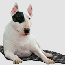 Aqua Coolkeeper cooling Mat | Hűtőpléd (skótkockás) XXL - 100x90 cm szállítóbox, fekhely kutyáknak