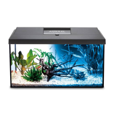 AquaEl Leddy Day&amp;Night 60 black | Akvárium szett (fekete) - 60x60x30 cm akvárium