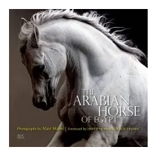  Arabian Horse of Egypt – Nasr Marei idegen nyelvű könyv