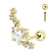  Arany Színű 316L Orvosi Acél Csillagos Barbell Piercing egyéb ékszer
