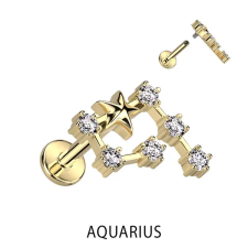  Arany Színű 316L Orvosi Acél Labret Piercing Vízöntő Csillagjegy egyéb ékszer