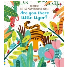  Are You There Little Tiger? – Sam Taplin idegen nyelvű könyv