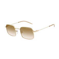 armani exchange AX2055S 611013 Shiny Pale Gold Gradient Brown napszemüveg