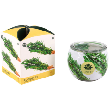 Arôme ARÔME Rosemary, 12 db gyertya