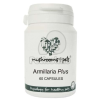  Armillaria Plus (450 mg) 60 db