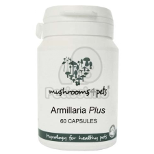  Armillaria Plus (450 mg) 60 db vitamin, táplálékkiegészítő kutyáknak