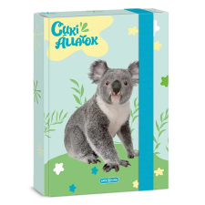 Ars Una : Cuki Koala A/5 füzetbox füzetbox