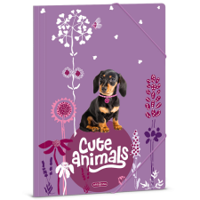 Ars Una : Cute Animals - Puppy tacskó mintás gumis mappa A/4 mappa