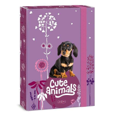 Ars Una füzetbox A4 - Cuki állatok - Puppy füzetbox