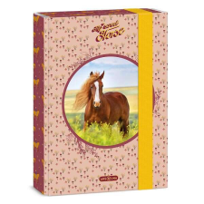 Ars Una füzetbox A5 My Sweet Horse füzetbox