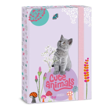 Ars Una Füzetbox ARS UNA A/4 Cute Animals-kitten füzetbox