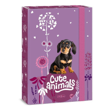 Ars Una Füzetbox ARS UNA A/4 Cute Animals-Puppy füzetbox