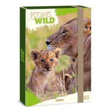 Ars Una Füzetbox ARS UNA A/4 Icons of the Wild-Lions füzetbox