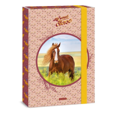 Ars Una Füzetbox ars una a/4 my sweet horse 50853588 füzetbox