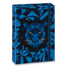 Ars Una Füzetbox ARS UNA A/5 Black Panther füzetbox