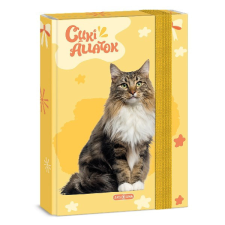 Ars Una Füzetbox ARS UNA A/5 Cuki-Norvég erdei macska füzetbox